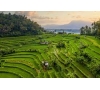 BALI 2024 EN PRE INSCRIPTION UNIQUEMENT