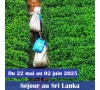 SRI LANKA - SYLTOURS