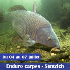 ENDURO CARPES 72H SENTZICH