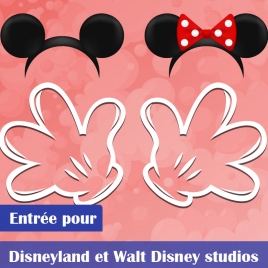 BILLETS DISNEYLAND