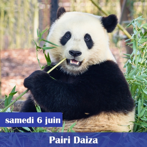 JOURNEE FAMILLE PAIRI DAIZ
