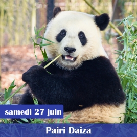 JOURNEE FAMILLE PAIRI DAIZ